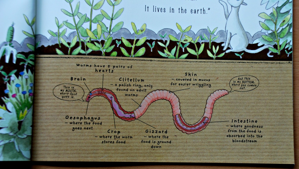 Yucky Worms a Nature Storybook | ofamily learning together