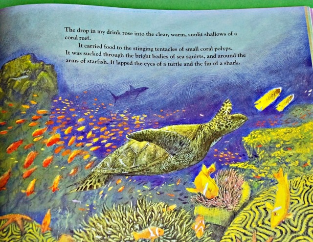 The Drop in my Drink. A children's book about the history of water on planet Earth