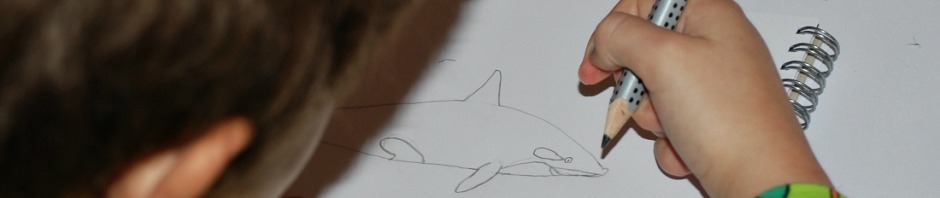 Drawing his Orca