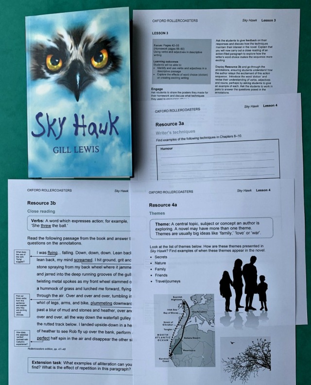Sky Hawk Book and lesson printouts